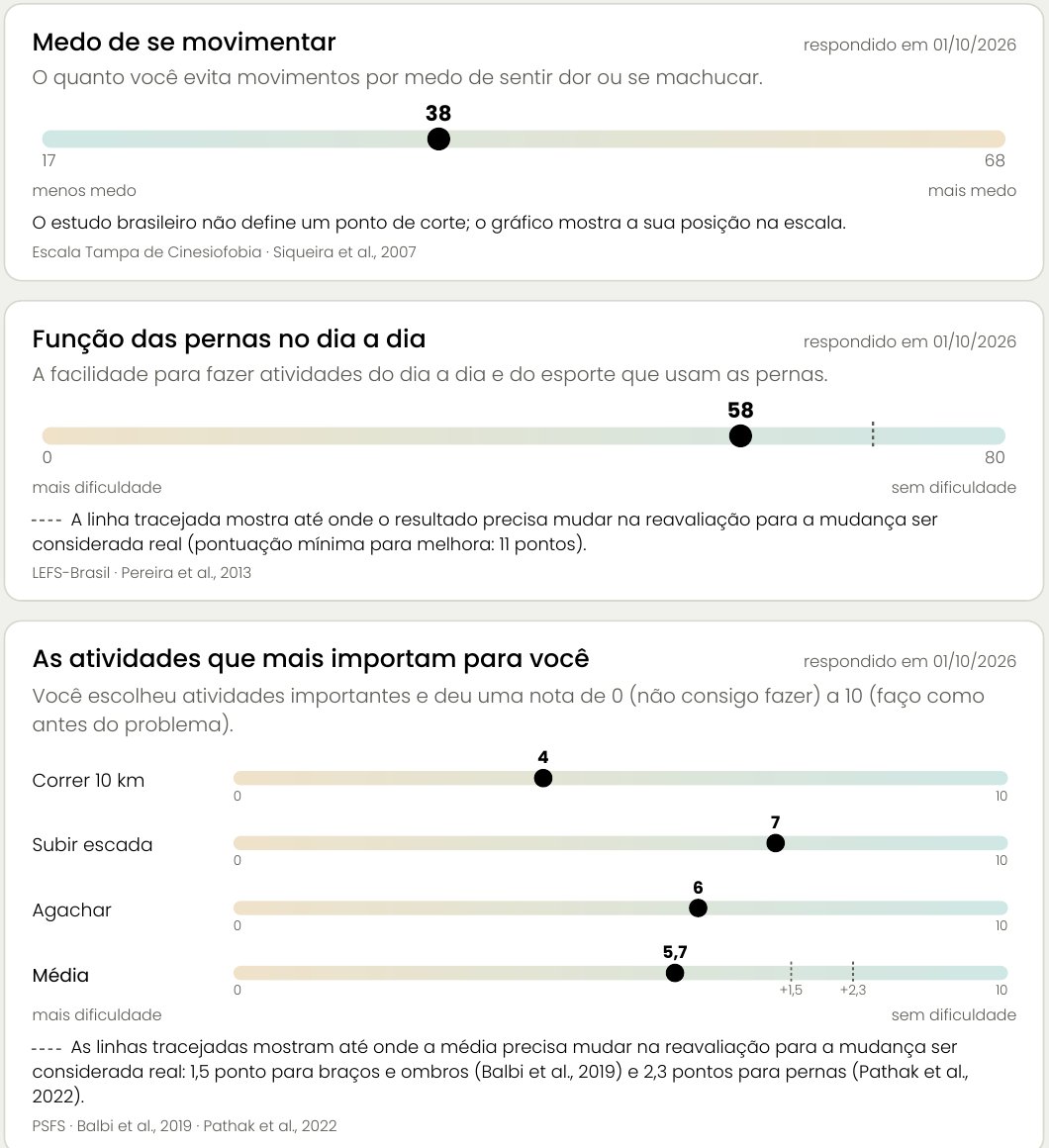 Gráficos dos questionários de medo de se movimentar, função das pernas e atividades importantes